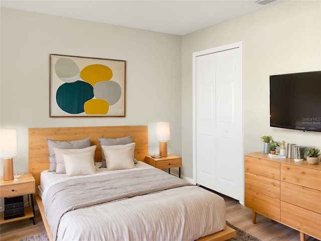 bedroom featuring a closet and wood-type flooring