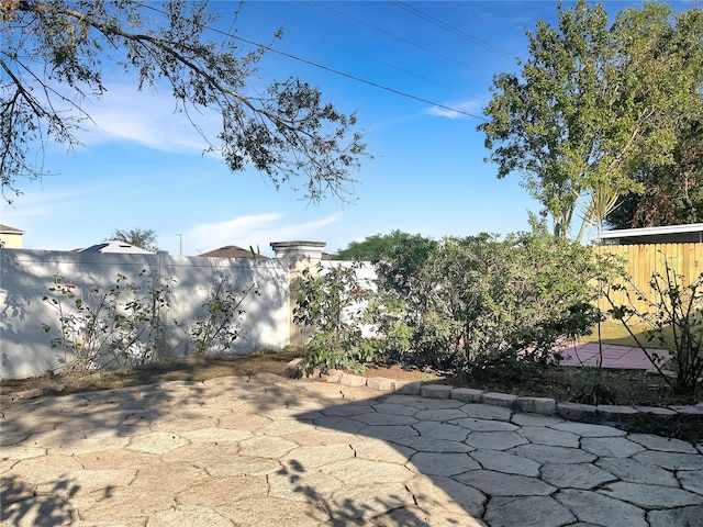 view of yard with a patio area