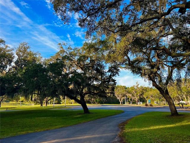 surrounding community featuring a lawn