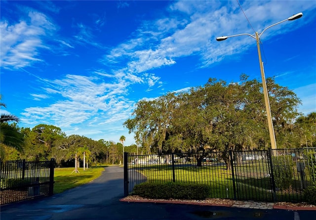 view of home's community with a yard