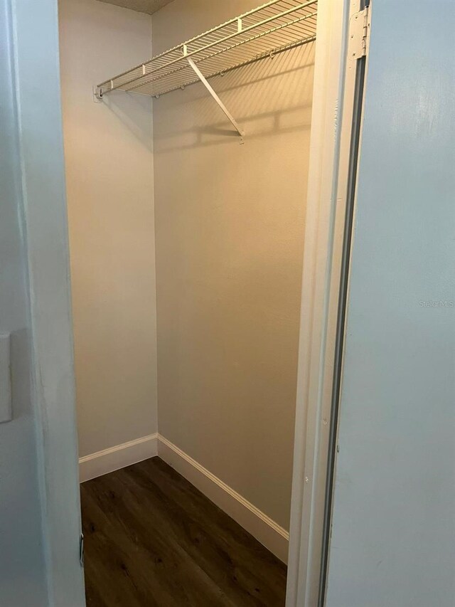 spacious closet featuring dark hardwood / wood-style floors