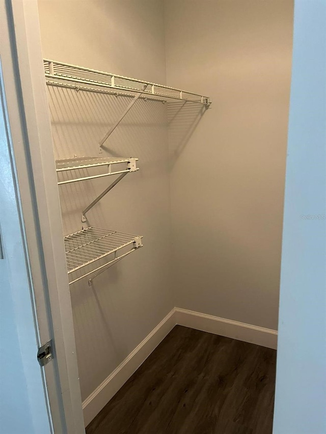 spacious closet featuring dark hardwood / wood-style flooring