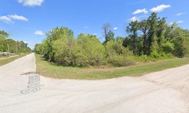 LOT21 Spruce Dr, Georgetown FL, 32139 land for sale