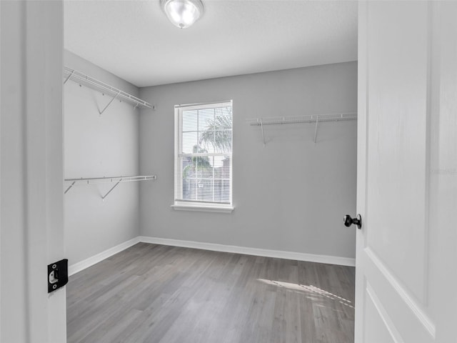 walk in closet with wood finished floors