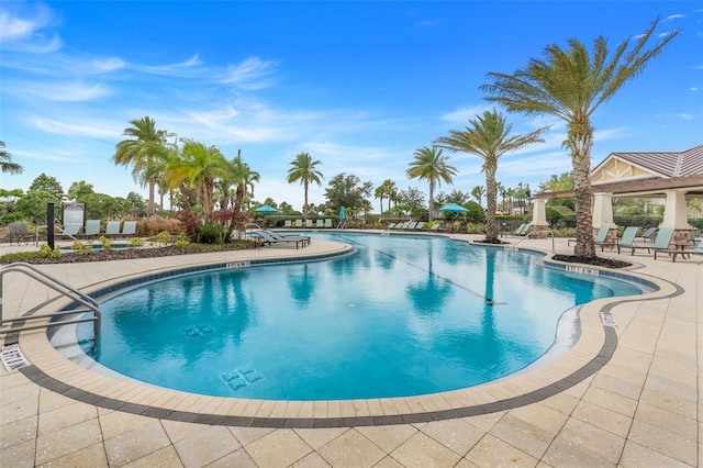 view of pool featuring a patio