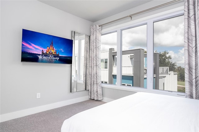 carpeted bedroom with multiple windows