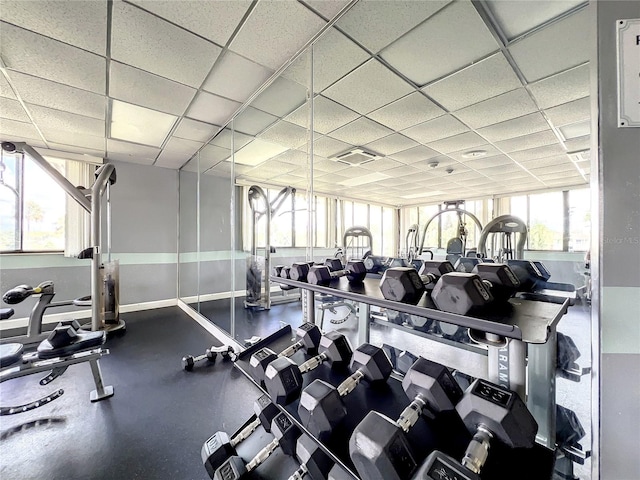 workout area with a paneled ceiling and a wealth of natural light