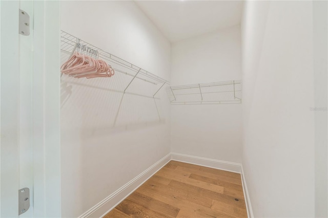 spacious closet with wood-type flooring