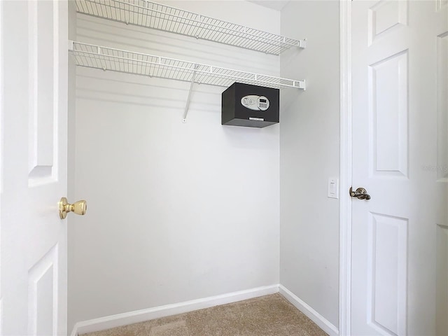 spacious closet with carpet floors