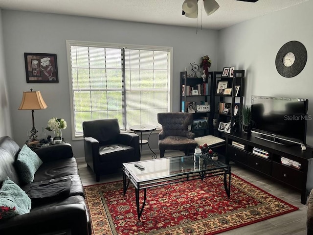 living room with hardwood / wood-style floors, ceiling fan, and plenty of natural light