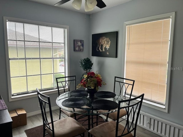 dining space featuring ceiling fan, wood-type flooring, and a wealth of natural light