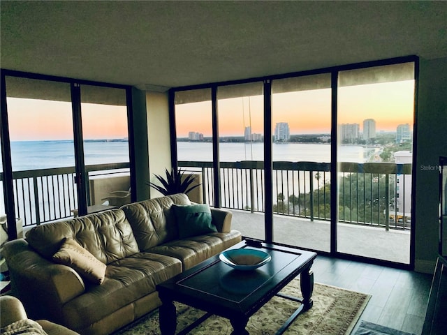 living room featuring a wall of windows, a water view, and wood-type flooring