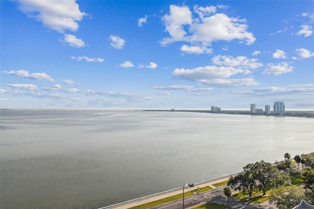 2413 Bayshore Blvd Unit 1404, Tampa, FL 33629 - photo 47