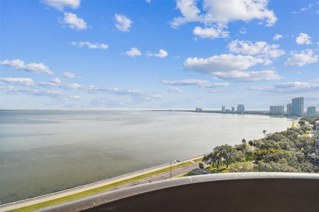 2413 Bayshore Blvd Unit 1404, Tampa, FL 33629 - photo 26