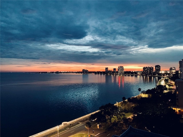2413 Bayshore Blvd Unit 1404, Tampa, FL 33629 - photo 28