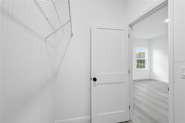 walk in closet featuring light hardwood / wood-style flooring