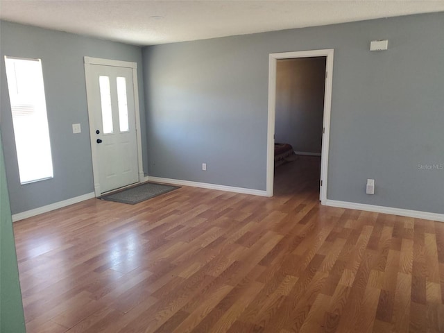 entrance foyer with a healthy amount of sunlight and wood-type flooring