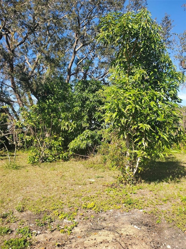 view of nature