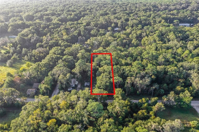 353 Sisco Dirt Rd, Satsuma FL, 32189 land for sale