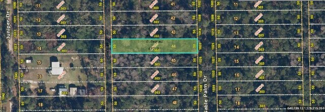 1020 Sable Palm Dr, Christmas, FL 32709 - photo 1