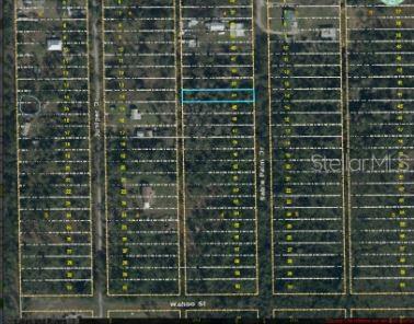 1020 Sable Palm Dr, Christmas, FL 32709 - photo 2