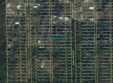 1020 Sable Palm Dr, Christmas, FL 32709 - photo 4