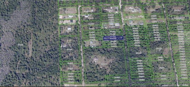 1020 Sable Palm Dr, Christmas, FL 32709 - photo 8