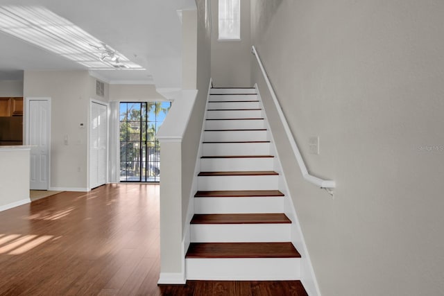 staircase with wood-type flooring