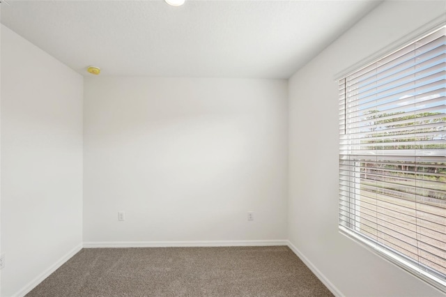 unfurnished room featuring carpet