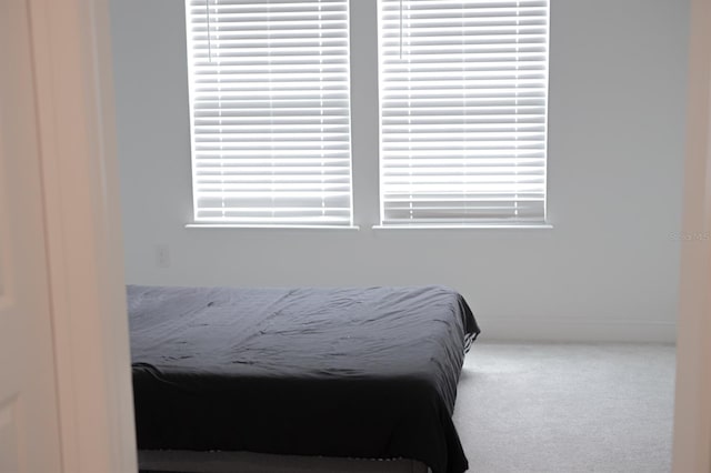 bedroom with carpet flooring and multiple windows