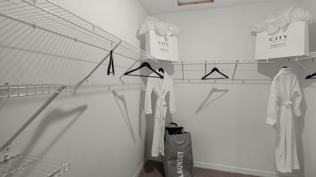 spacious closet with carpet floors