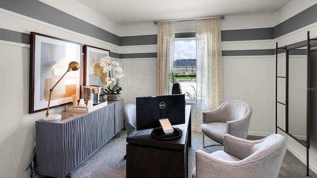 sitting room featuring carpet floors