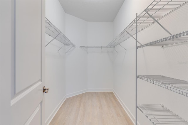 walk in closet with light hardwood / wood-style flooring