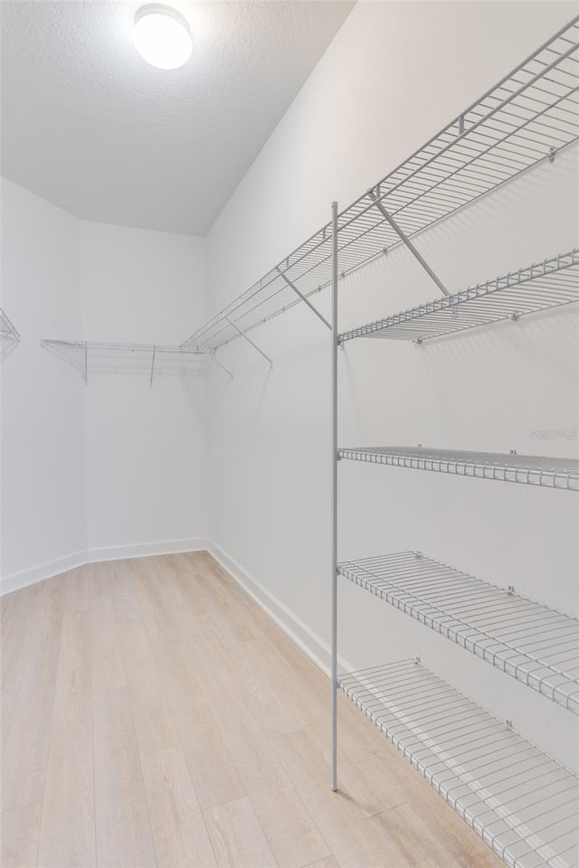 spacious closet with light wood-type flooring