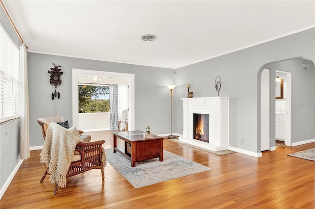 living room featuring crown molding and light hardwood / wood-style flooring