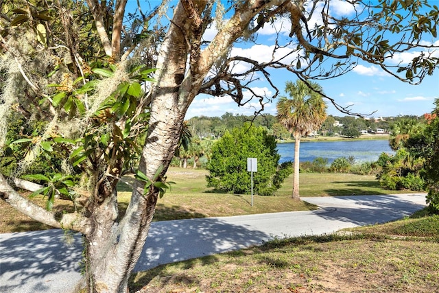 surrounding community with a yard and a water view