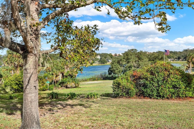 view of yard featuring a water view