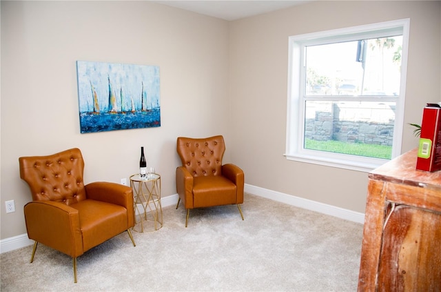 living area featuring light colored carpet