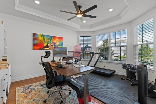 home office featuring a tray ceiling and plenty of natural light