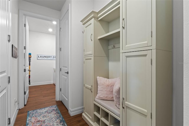 mudroom with dark hardwood / wood-style flooring