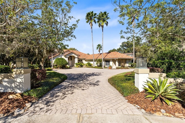 view of front facade featuring curved driveway