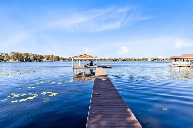 dock area with a water view