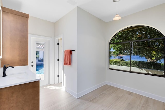 bathroom featuring hardwood / wood-style flooring and vanity