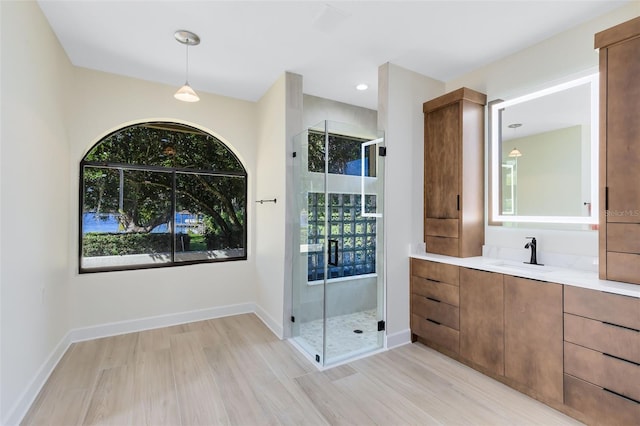 bathroom featuring vanity, wood-type flooring, and an enclosed shower