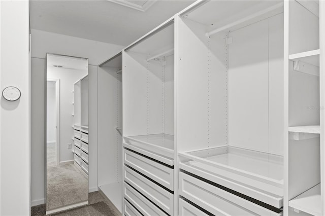 spacious closet featuring carpet flooring