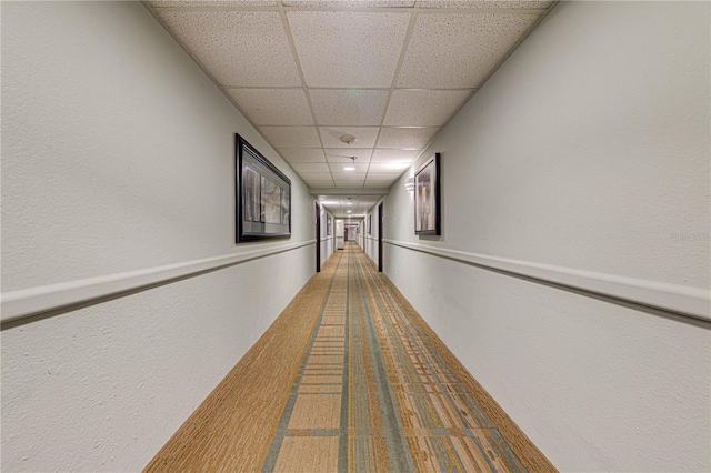 hall featuring a drop ceiling and carpet floors