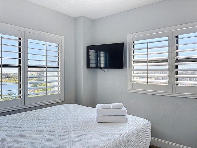bedroom with multiple windows