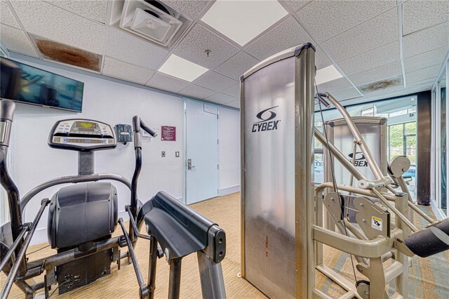 workout area with carpet floors and a drop ceiling