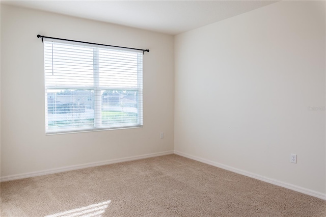 unfurnished room with a healthy amount of sunlight and carpet floors