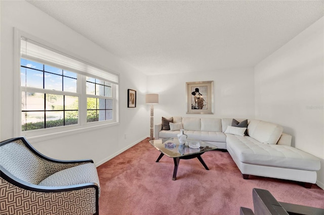 734 Riverbend Blvd, Longwood, FL 32779 - living area featuring carpet flooring, baseboards, and a textured ceiling